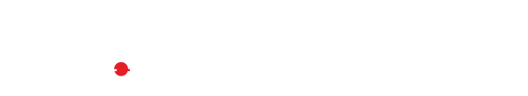 In.Security Logo